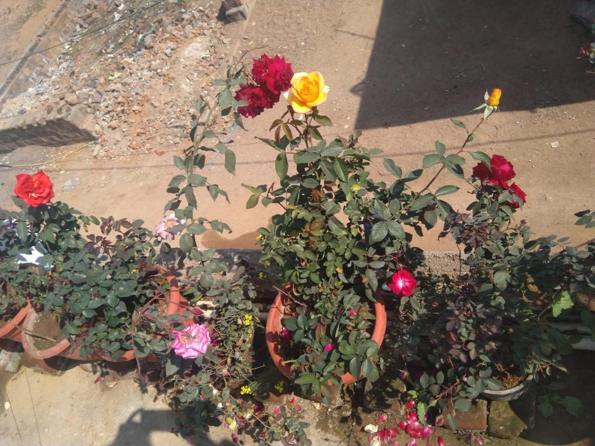 Khajuraho Homestay エクステリア 写真